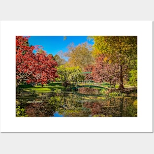 Fall Reflections Posters and Art